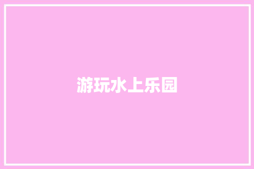 游玩水上乐园