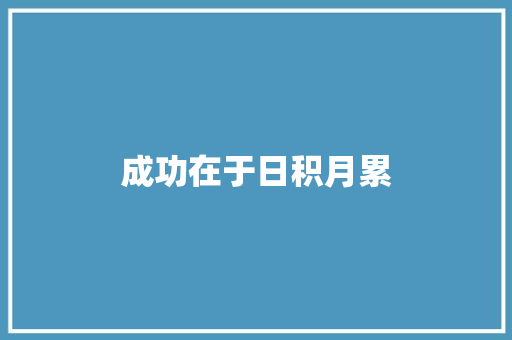 成功在于日积月累