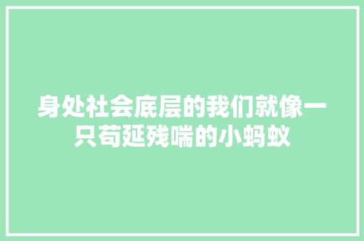 身处社会底层的我们就像一只苟延残喘的小蚂蚁