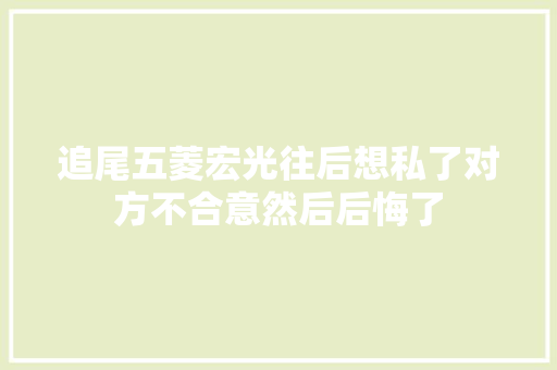 追尾五菱宏光往后想私了对方不合意然后后悔了