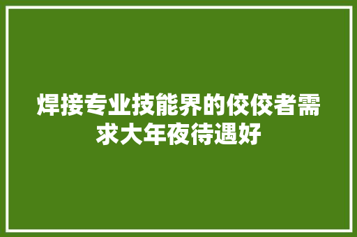 焊接专业技能界的佼佼者需求大年夜待遇好