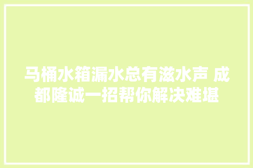 马桶水箱漏水总有滋水声 成都隆诚一招帮你解决难堪