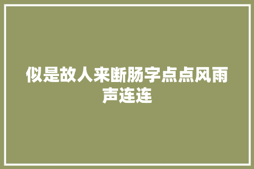 似是故人来断肠字点点风雨声连连