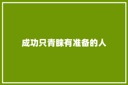 成功只青睐有准备的人