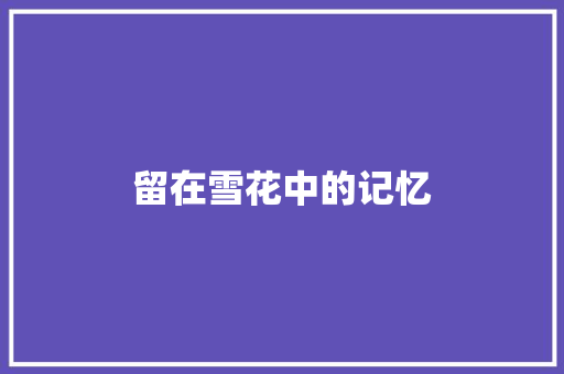 留在雪花中的记忆