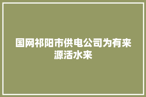国网祁阳市供电公司为有来源活水来