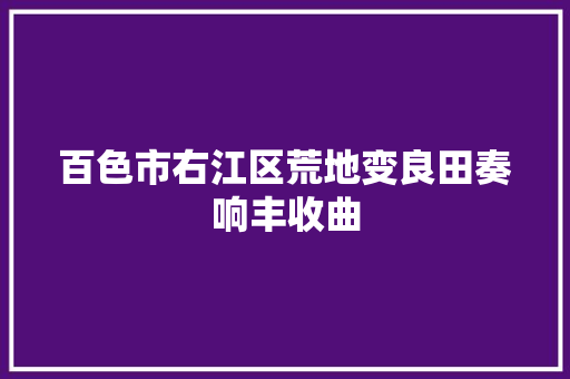百色市右江区荒地变良田奏响丰收曲