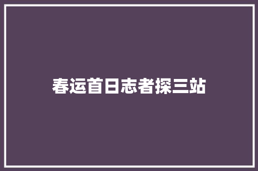 春运首日志者探三站