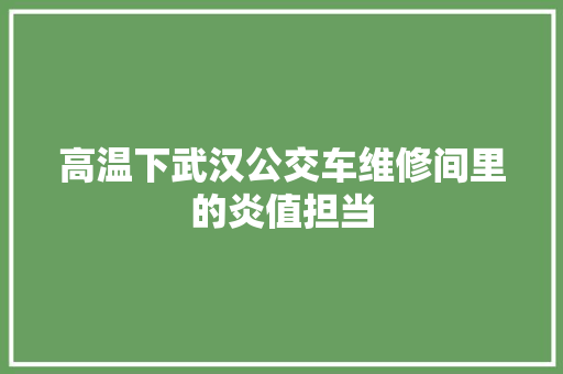 高温下武汉公交车维修间里的炎值担当