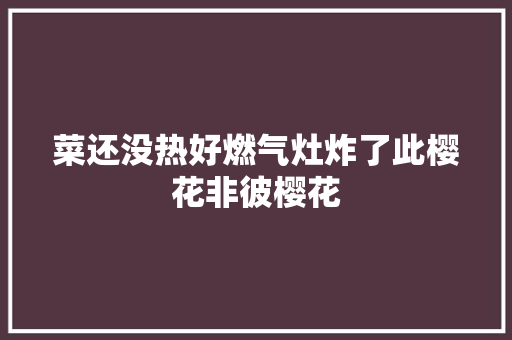 菜还没热好燃气灶炸了此樱花非彼樱花