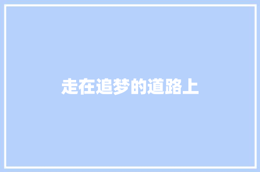 走在追梦的道路上