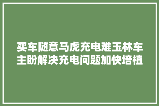 买车随意马虎充电难玉林车主盼解决充电问题加快培植公共充电桩
