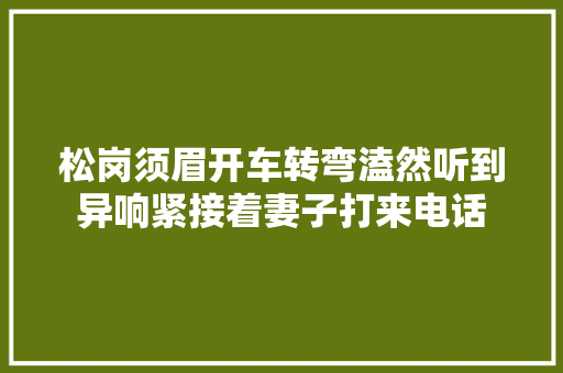 松岗须眉开车转弯溘然听到异响紧接着妻子打来电话