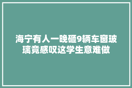 海宁有人一晚砸9辆车窗玻璃竟感叹这学生意难做