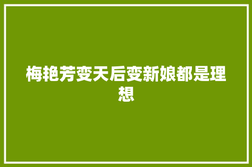 梅艳芳变天后变新娘都是理想