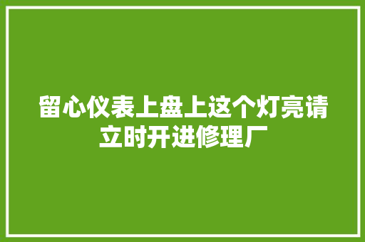 留心仪表上盘上这个灯亮请立时开进修理厂