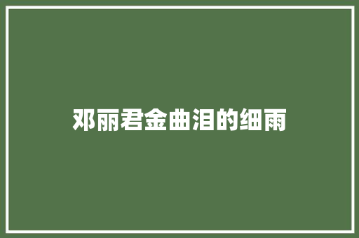 邓丽君金曲泪的细雨 休闲娱乐