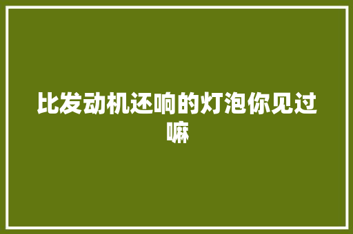 比发动机还响的灯泡你见过嘛