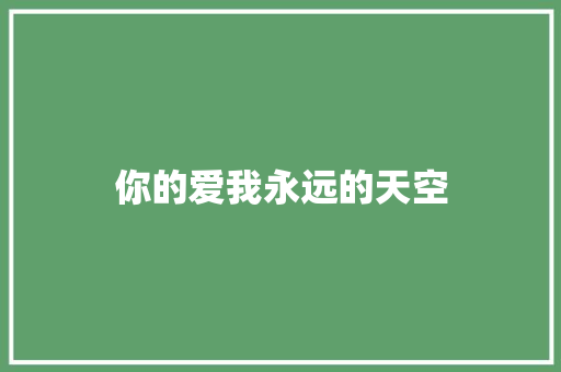 你的爱我永远的天空
