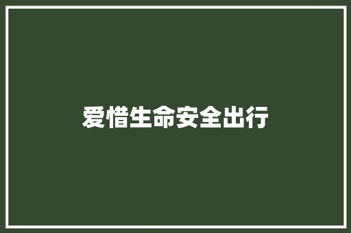 爱惜生命安全出行