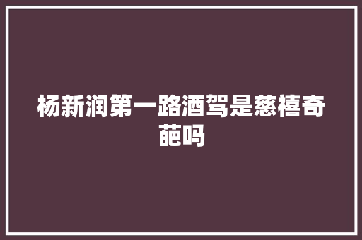 杨新润第一路酒驾是慈禧奇葩吗