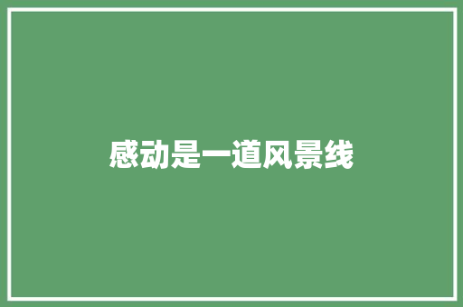 感动是一道风景线
