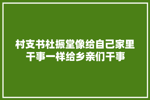 村支书杜振堂像给自己家里干事一样给乡亲们干事