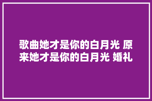 歌曲她才是你的白月光 原来她才是你的白月光 婚礼现场 被新娘惊艳