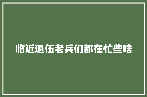 临近退伍老兵们都在忙些啥