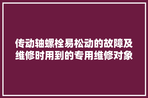 传动轴螺栓易松动的故障及维修时用到的专用维修对象