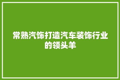 常熟汽饰打造汽车装饰行业的领头羊