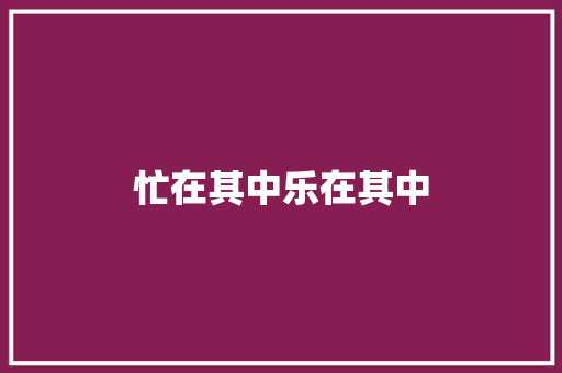 忙在其中乐在其中