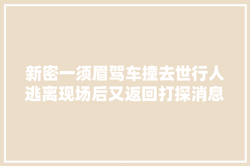 新密一须眉驾车撞去世行人逃离现场后又返回打探消息