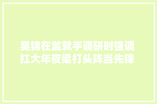 吴锦在监就手调研时强调 扛大年夜梁打头阵当先锋 加快培植市域副中央