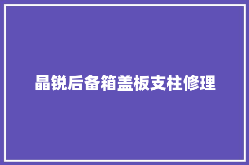 晶锐后备箱盖板支柱修理