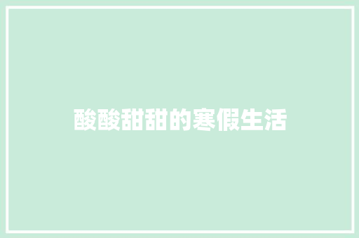 酸酸甜甜的寒假生活