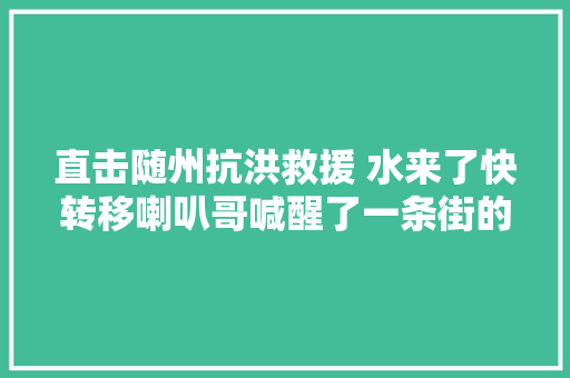 直击随州抗洪救援 水来了快转移喇叭哥喊醒了一条街的商户