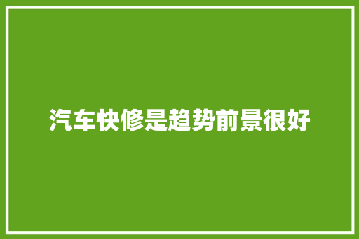 汽车快修是趋势前景很好 汽车知识