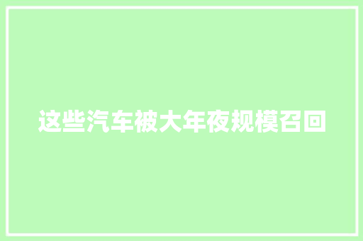 这些汽车被大年夜规模召回