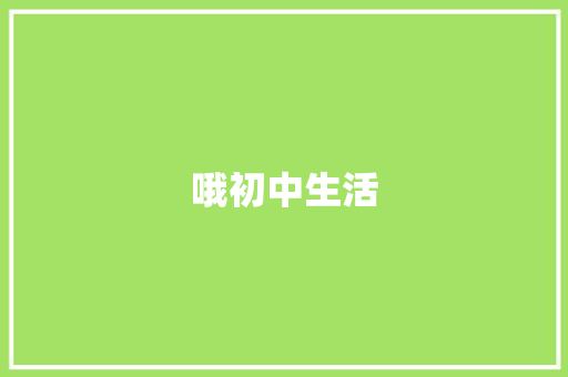 哦初中生活