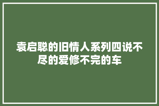 袁启聪的旧情人系列四说不尽的爱修不完的车