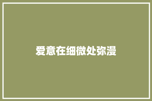 爱意在细微处弥漫