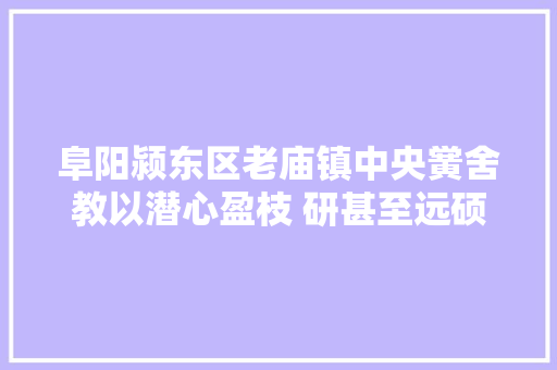 阜阳颍东区老庙镇中央黉舍教以潜心盈枝 研甚至远硕果