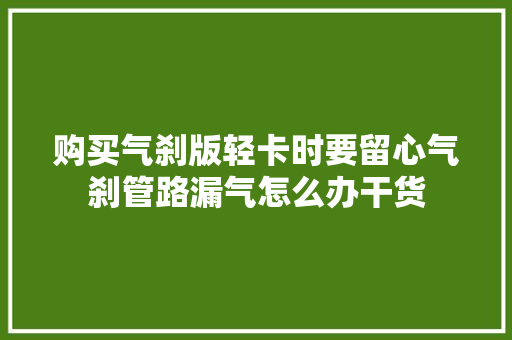 购买气刹版轻卡时要留心气刹管路漏气怎么办干货