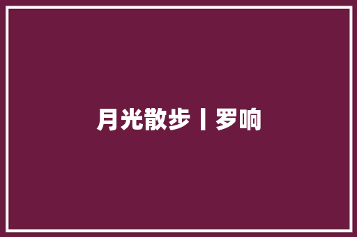 月光散步丨罗响
