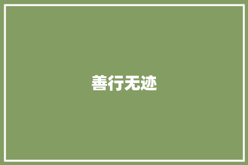 善行无迹