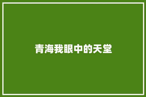 青海我眼中的天堂