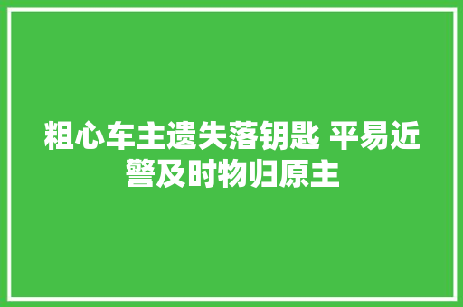 粗心车主遗失落钥匙 平易近警及时物归原主