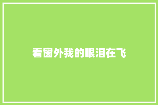 看窗外我的眼泪在飞