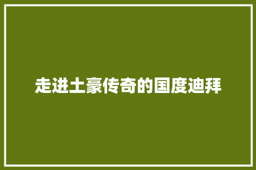 走进土豪传奇的国度迪拜